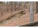 Scenic backyard view featuring a small creek flowing through the lush, wooded landscape at 6435 Ivey Creek Cir, Cumming, GA 30040