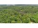 Scenic aerial view showcases the extensive forest and a peaceful pond, offering privacy and natural beauty at 3713 Brigantine Ct, Acworth, GA 30102