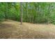 Large backyard surrounded by mature trees, providing privacy and a natural setting at 3713 Brigantine Ct, Acworth, GA 30102