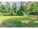 Lush backyard featuring expansive green lawn, mature trees, and shade at 10 Briarcliff Pl, Stockbridge, GA 30281