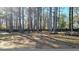The backyard features mature trees, a privacy fence, and natural surroundings at 115 Bond Dr, Ellenwood, GA 30294