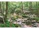 Scenic view of a gentle creek flowing through a lush, wooded area with a beautiful natural landscape at 8240 Hurakan Creek Xing, Cumming, GA 30028