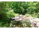 A babbling brook flows over rocks and through a green forest, enhancing the property's natural beauty at 8240 Hurakan Creek Xing, Cumming, GA 30028