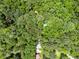 Aerial view of wooded property and a glimpse of the roof of a log cabin at 1975 Mack Rd, Douglasville, GA 30135