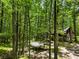 Scenic view of the log cabin surrounded by lush, dense trees and a shade structure at 1975 Mack Rd, Douglasville, GA 30135