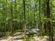 Wooded view of the land and shade structure with towering trees at 1975 Mack Rd, Douglasville, GA 30135