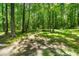 A view of the yard with tall, lush, trees at 1975 Mack Rd, Douglasville, GA 30135