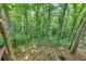 Wooded backyard with walking trail and fencing at 115 Township Ct, Woodstock, GA 30189