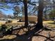View of a backyard with a swing, bench, and lots of natural shade from mature trees at 2807 Mcclave Dr, Doraville, GA 30340