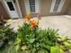 Front yard landscaping with vibrant flowers and healthy plants near the front door at 2807 Mcclave Dr, Doraville, GA 30340