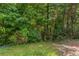 Grassy lot with mature trees and ample green space at 1404 Lancaster Ct, Mcdonough, GA 30252