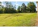 A expansive grassy backyard with treeline in background at 739 E Mays E Rd, Stockbridge, GA 30281