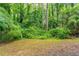 View of a muddy backyard surrounded by lush greenery and mature trees at 740 Stoneside Ct, Stone Mountain, GA 30083