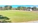Spacious lawn surrounded by mature trees, with a view of a charming home and gazebo in the distance at 5036 Weatherstone Drive, Buford, GA 30519