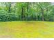 Expansive backyard with lush green grass surrounded by tall trees and greenery at 1496 Indian Forest Ct, Stone Mountain, GA 30083