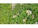 Aerial view of wooded neighborhood near lake at 627 Apache Trl, Woodstock, GA 30189