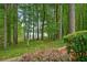 Lake view through wooded backyard with brick retaining wall at 627 Apache Trl, Woodstock, GA 30189