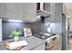 Gourmet kitchen features gray cabinets, stainless steel appliances, and gas cooktop at 458 Connally Se St, Atlanta, GA 30312