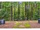 Wooded area between backyards at 3335 Thornbridge Dr, Powder Springs, GA 30127