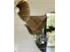 Unique chandelier fixture hanging in a stylishly decorated home at 2609 Dogwood Terrace Ne, Atlanta, GA 30319
