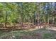 A lush, wooded backyard provides a serene and private outdoor setting at 8900 River Trace Dr, Johns Creek, GA 30097