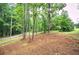 The large wooded yard offers privacy and ample space for outdoor activities at 12208 Buchanan Hwy, Temple, GA 30179