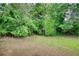 Backyard featuring a small shed with a yard full of green grass and an enclosed perimeter of large leafy trees at 1696 Hunting Creek Dr Se, Conyers, GA 30013