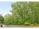 Street view of a property lined with vibrant green trees, offering privacy and a lush, natural setting at 5680 Whitner Dr, Atlanta, GA 30327