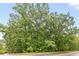 Landscaped property visible from the street, showcasing mature trees providing shade and privacy at 5680 Whitner Dr, Atlanta, GA 30327
