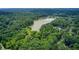 Aerial view of a pond surrounded by a lush green forest with community amenities nearby at 4140 Candler Lake West Ne, Atlanta, GA 30319