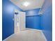 Spacious walk-in closet has carpeted floors and built-in shelving at 40 Queensland Ln, Covington, GA 30016