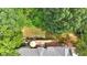 Aerial view of the property highlighting the deck, patio, and lush backyard surrounded by trees at 17 Sassafras Ne Trl, Cartersville, GA 30121