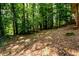 The backyard is enclosed by a chain link fence, featuring mature trees and wooded surroundings at 2518 Foster Ridge Ne Ct, Atlanta, GA 30345
