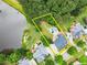 Aerial view outlining a backyard with a pool and greenery near a scenic lake at 4526 Meadow Club Dr, Suwanee, GA 30024