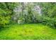 View of the expansive backyard with mature trees, lush ground cover, and a storage shed in the distance at 3409 Hyland Dr, Decatur, GA 30032