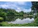 Scenic view of a tranquil lake surrounded by lush greenery and mature trees at 1952 Sugarstone Dr, Lawrenceville, GA 30043