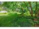 Lush backyard featuring a variety of plants, trees, and green grass, offering a peaceful outdoor space at 407 Doris Dr, Woodstock, GA 30188