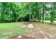 Expansive green backyard featuring a play set and surrounding woods, perfect for outdoor enjoyment at 135 Crimson Rdg, Tyrone, GA 30290