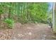 Lush green backyard with a wooded surrounding area at 5273 Martins Crossing Rd, Stone Mountain, GA 30088