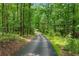 Long, paved driveway winding through a lush, green forest, creating a secluded entrance at 6020 Cochran Mill Rd, Palmetto, GA 30268