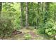 Backyard pathway surrounded by lush landscaping, leading through a serene, wooded area at 3561 Stone Dr, Marietta, GA 30062