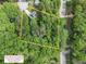 Aerial view highlighting the property lines of the home surrounded by mature trees at 2722 Spring Side Ct, Douglasville, GA 30135