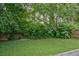 Lush green backyard providing a private outdoor space surrounded by mature trees and greenery at 439 Atlanta Se Ave, Atlanta, GA 30315