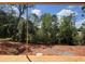 Backyard view with a line of mature trees, offering privacy and a peaceful setting for outdoor enjoyment at 2759 S Waterworks Rd, Buford, GA 30518