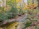 Scenic view of a tranquil creek flowing through a wooded area with vibrant fall foliage and mossy rocks along the banks at 2760 Hembree Ne Rd, Marietta, GA 30062