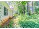 View of the backyard featuring lush greenery and mature trees, offering a private outdoor space at 20 Rosebud Ln, Mcdonough, GA 30253