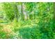 Lush backyard surrounded by dense trees, creating a private and serene outdoor setting at 20 Rosebud Ln, Mcdonough, GA 30253