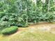 Backyard featuring mature trees, a fence, and a grassy area at 827 Autry Oak Ct, Johns Creek, GA 30022