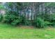 Secluded backyard view through a forest-like area with many mature trees at 3458 Carriage Chase Rd, Atlanta, GA 30349