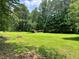 Expansive backyard with manicured lawn and mature trees offers a serene and private setting at 115 Cannongate Cir, Sharpsburg, GA 30277